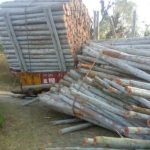 Meet your Posher, Sunil